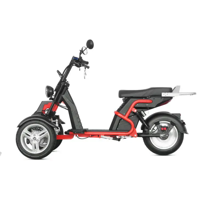 Spot New Products Fast Adult Size ODO Speedometer Electric 3-wheel E-bike Motorcycles With Two Front Wheels — image 3