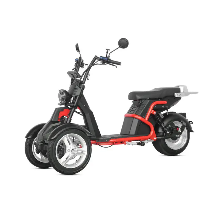 Spot New Products Fast Adult Size ODO Speedometer Electric 3-wheel E-bike Motorcycles With Two Front Wheels — image 4