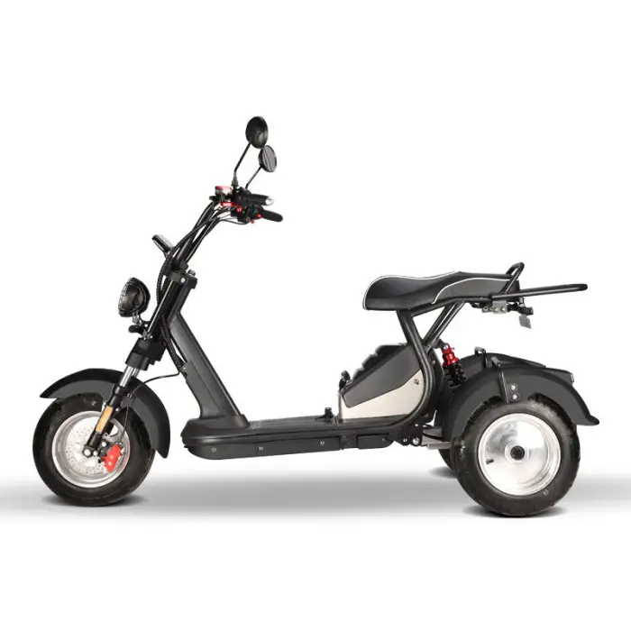 60V 10 Inch Alu Alloy Rim Fat Tire Dual Motor E Rock Bike Electric Citycoco Bicycle with Rack for Rear Storage Box — image 2