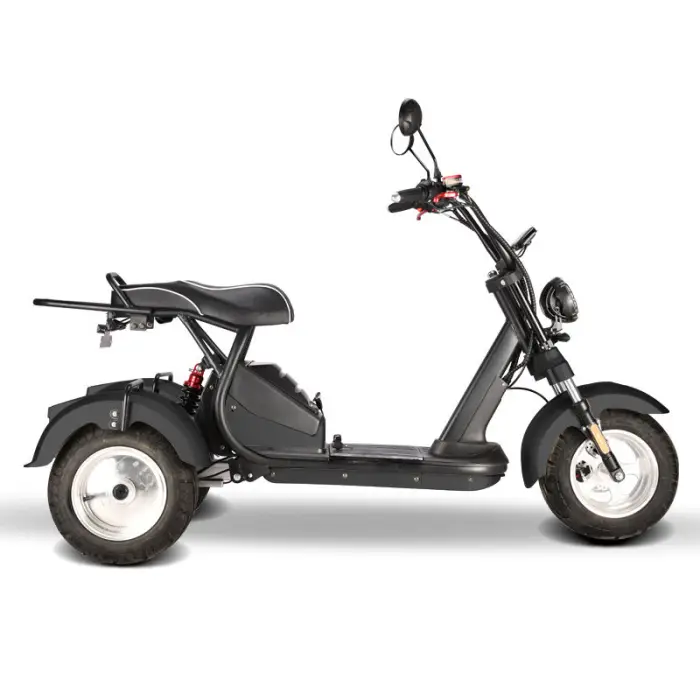 60V 10 Inch Alu Alloy Rim Fat Tire Dual Motor E Rock Bike Electric Citycoco Bicycle with Rack for Rear Storage Box — image 4
