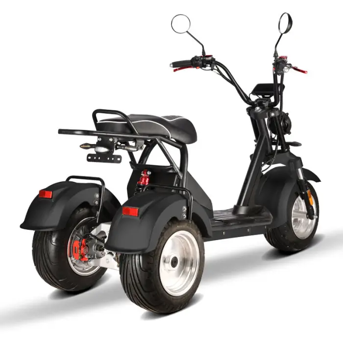 60V 10 Inch Alu Alloy Rim Fat Tire Dual Motor E Rock Bike Electric Citycoco Bicycle with Rack for Rear Storage Box — image 5