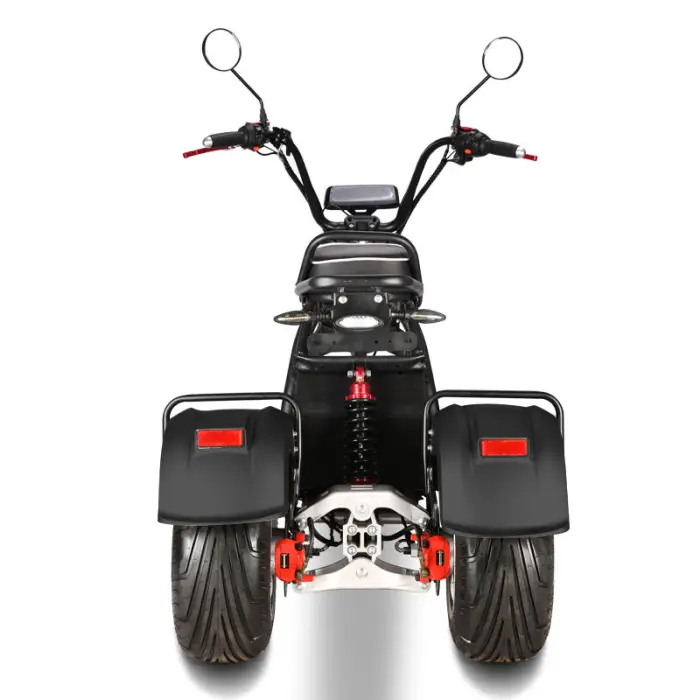 60V 10 Inch Alu Alloy Rim Fat Tire Dual Motor E Rock Bike Electric Citycoco Bicycle with Rack for Rear Storage Box — image 6