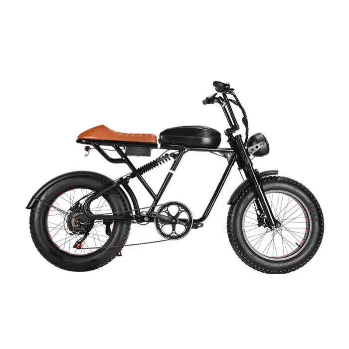 7 Speed Lithium Battery 20 Inch Fat Tyre S73 Ebike Road Bike — image 3