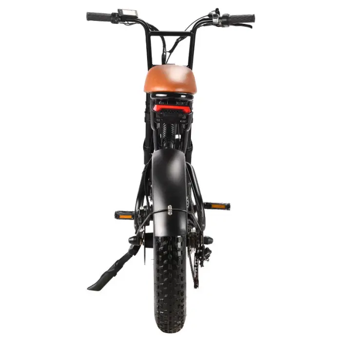 7 Speed Lithium Battery 20 Inch Fat Tyre S73 Ebike Road Bike — image 6