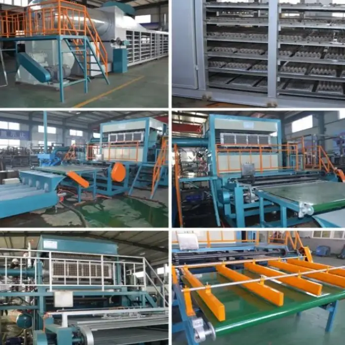 Egg Farm Small Business 1000pcs Manual Paper Pulped Egg Trays Making Machinery — image 7