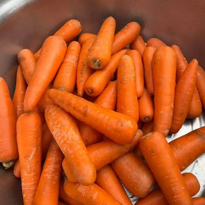 Industrial Brush Type Potato Peeler Machine Automatic Electric Washer Peeler for Sweet Potato Taro Carrot Ginger Beets Scallop — image 3