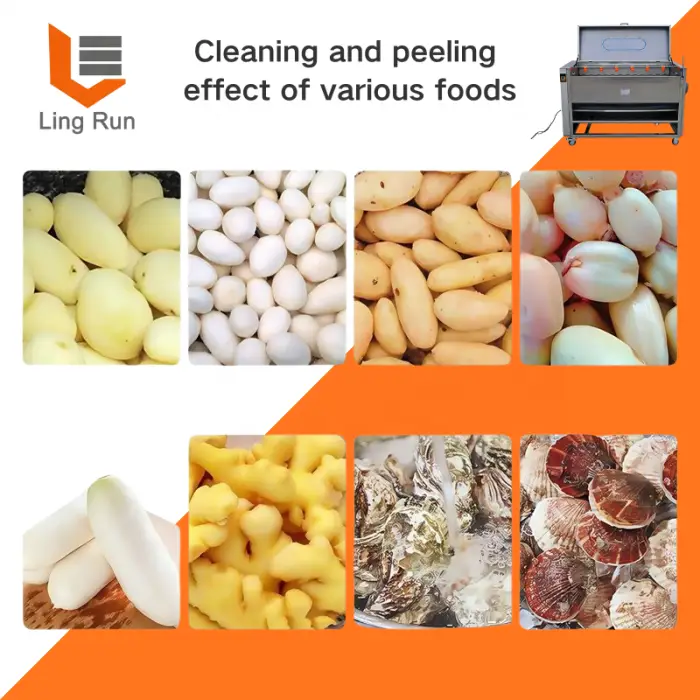 Industrial Brush Type Potato Peeler Machine Automatic Electric Washer Peeler for Sweet Potato Taro Carrot Ginger Beets Scallop — image 6