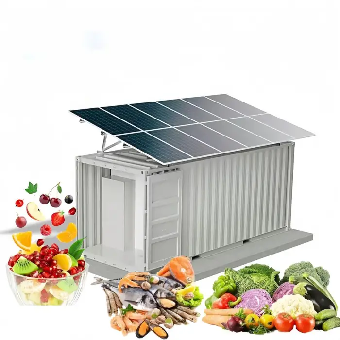 Xueyun 20Ft Cold Storage Solar Container Cold Room Freezer System Cold Room Storage Good Price — image 3
