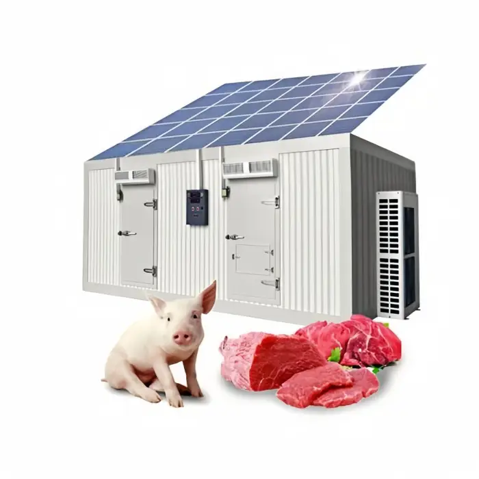 Xueyun 20Ft Cold Storage Solar Container Cold Room Freezer System Cold Room Storage Good Price — image 5