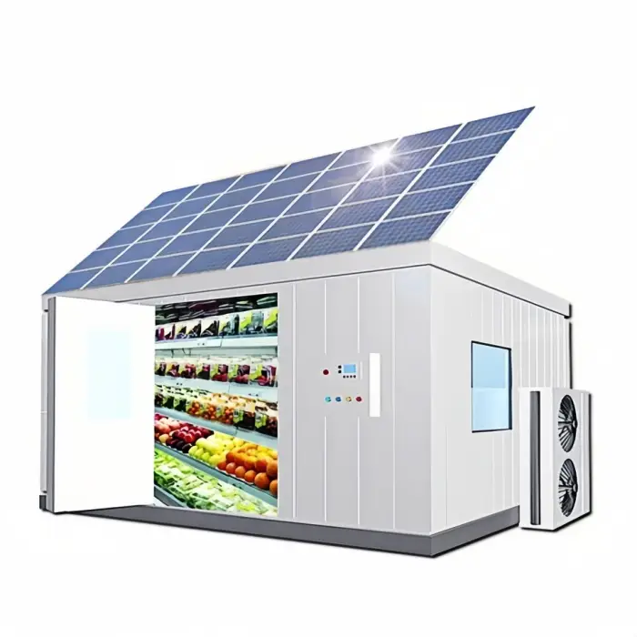 Xueyun 20Ft Cold Storage Solar Container Cold Room Freezer System Cold Room Storage Good Price — image 6