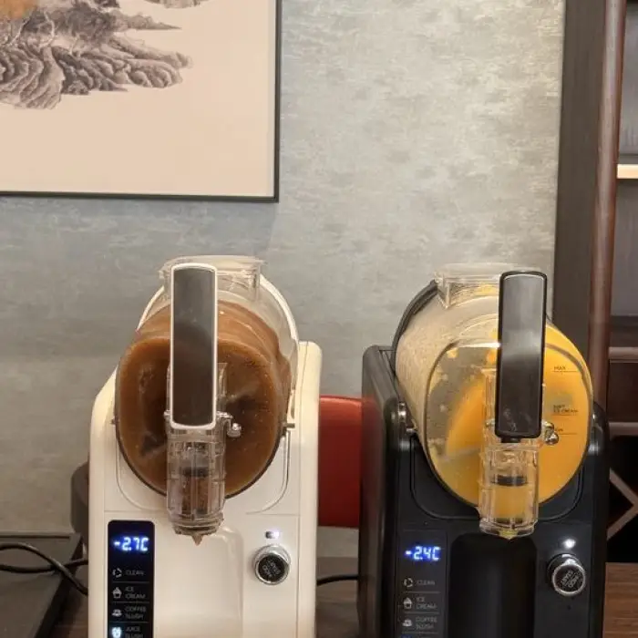 Wholesale Homeuse Ice Carbonated Cheaper Frozen Slush Machine 1 Tanks — image 2