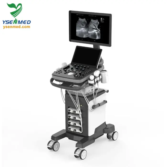 YSB-ViV40 Ysenmed Full Digital Color Dopler Mobile Portable Ultrasound in 3d and 4d Sales Reasonable Price Ultrasound Machine 4d — image 3