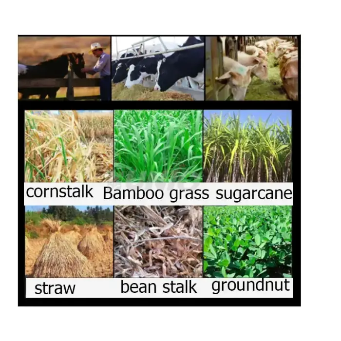 Multifunction 4 Blades Chaff Cutter Grass Ensilage Chaff Cutter Machine Animal Chaff Cutter — image 7