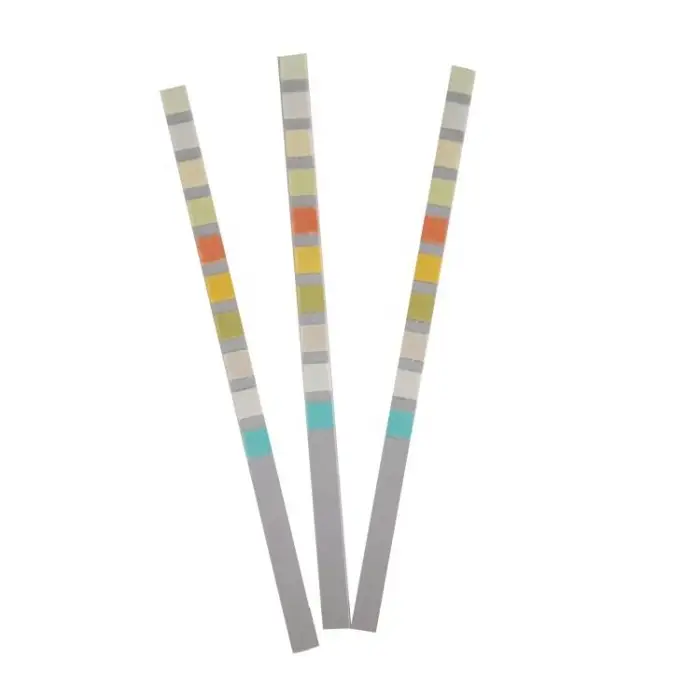 Wholesale 10 Parameters Urine Test Strips Paper Urinalysis System for Protein PH Sugar Analysis — image 5