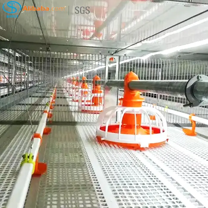 20000 Poultry Complete Large Broilers Chicken Shed Automatic Chicken House Feeding Drinking Plant Big Equipment Farm Line System — image 3