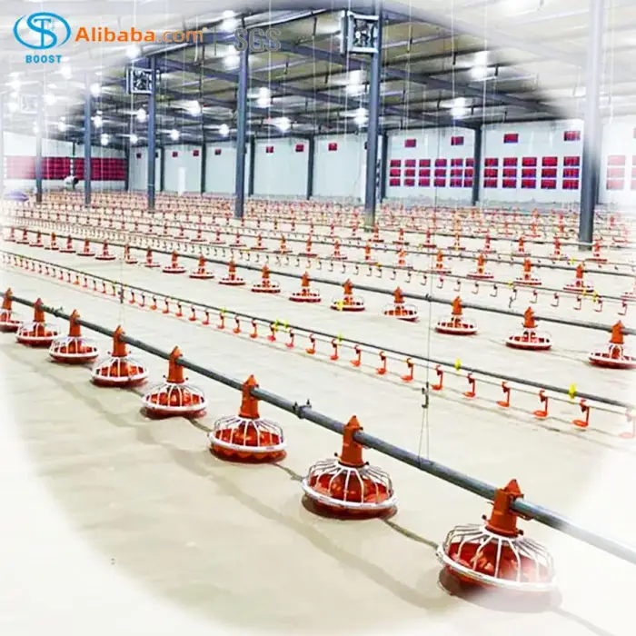 20000 Poultry Complete Large Broilers Chicken Shed Automatic Chicken House Feeding Drinking Plant Big Equipment Farm Line System — image 4