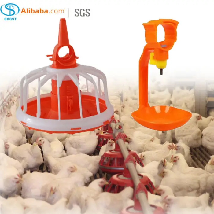 20000 Poultry Complete Large Broilers Chicken Shed Automatic Chicken House Feeding Drinking Plant Big Equipment Farm Line System — image 5