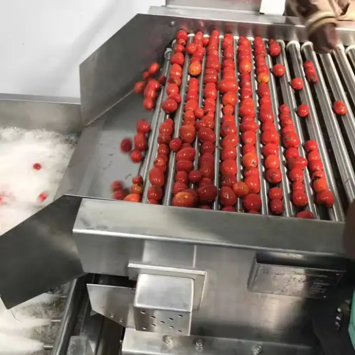 Full Automatic 2-10T/H Concentrate Tomato Puree Factory/ Tomato Paste Processing Plant — image 2