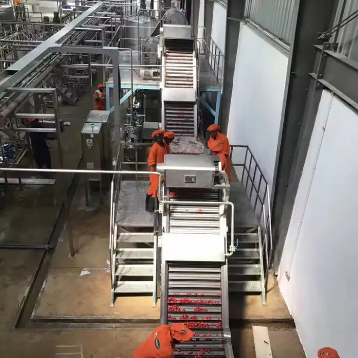 Full Automatic 2-10T/H Concentrate Tomato Puree Factory/ Tomato Paste Processing Plant — image 4