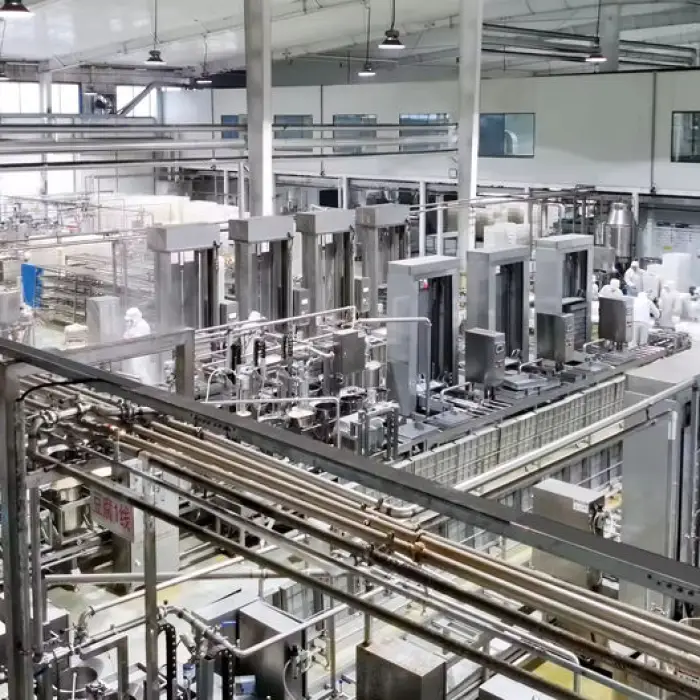 Customized Large Capacity Firm Tofu Production Line/ Silken Tofu Production Line /cheese Tofu Production Line Machine — image 5