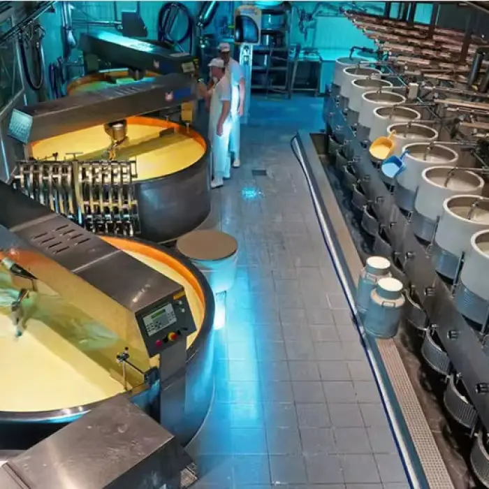 Customized High Quality Cheese Making Machines Dairy Process Equipment Production Line — image 3