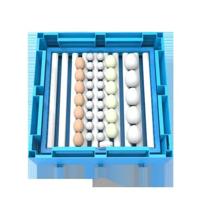 220V 12V Fully Automatic Dual Power Egg Incubator High Brood Egg Hatching Machine for Ostrich Duck Quail Turkey Farm Use Used — image 4