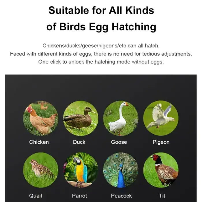 220V 12V Fully Automatic Dual Power Egg Incubator High Brood Egg Hatching Machine for Ostrich Duck Quail Turkey Farm Use Used — image 5