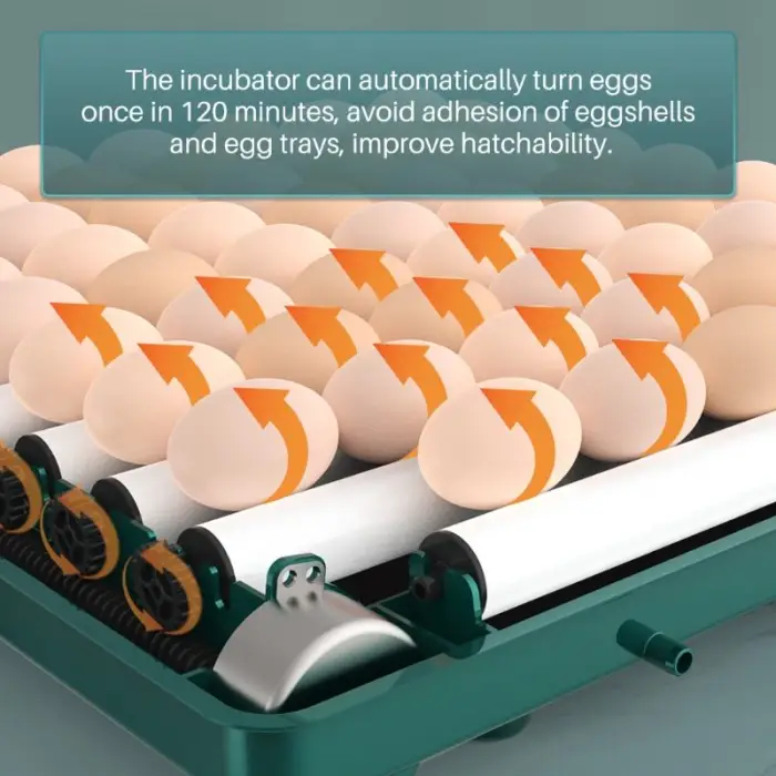 Automatic Chicken Incubators Hatching Eggs Incubator Machine for Poultry Farm Duck Bird Goose Hatch — image 6