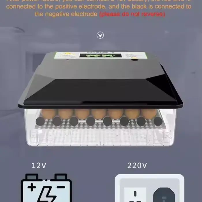 Dual Power Mini Egg Incubator Automatic for Small Hatching Goose Turkey Quail Duck Chicken & 6-64pcs Mini Eggs — image 5