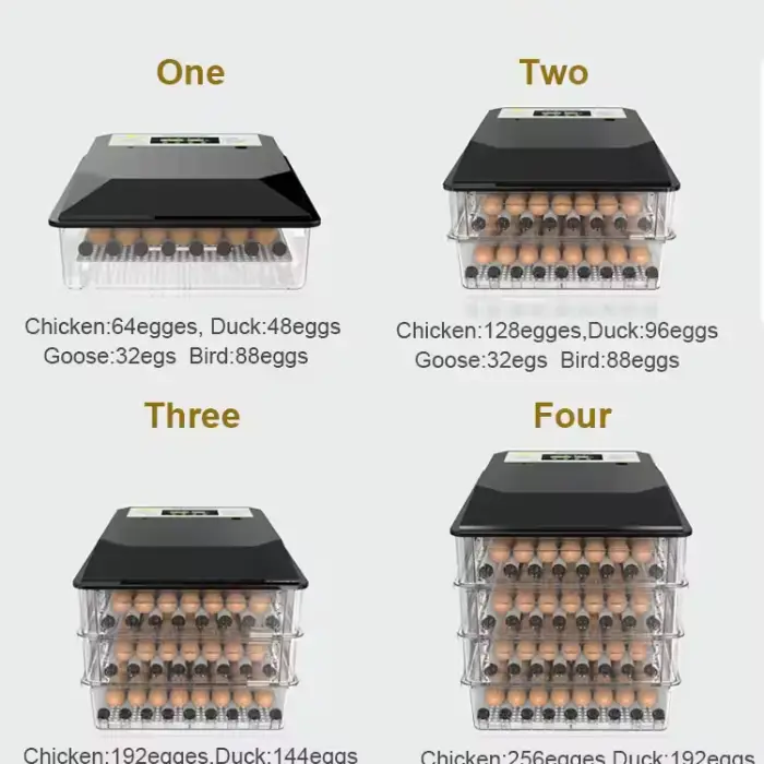 Dual Power Mini Egg Incubator Automatic for Small Hatching Goose Turkey Quail Duck Chicken & 6-64pcs Mini Eggs — image 6