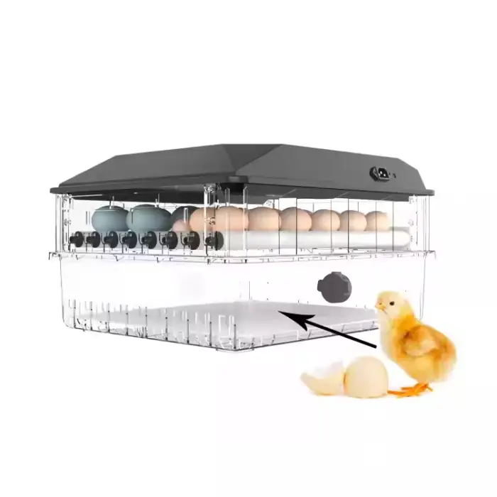 Dual Power Mini Egg Incubator Automatic for Small Hatching Goose Turkey Quail Duck Chicken & 6-64pcs Mini Eggs — image 7