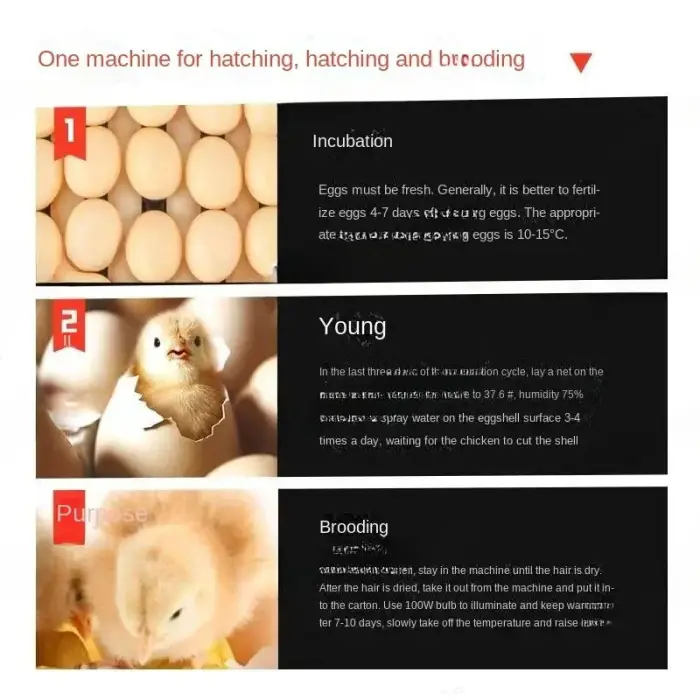 Fully Automatic Solar Egg Incubator Hatchery Machine for Farming Brand New Condition — image 5