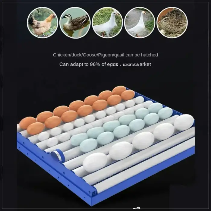 Fully Automatic Solar Egg Incubator Hatchery Machine for Farming Brand New Condition — image 6