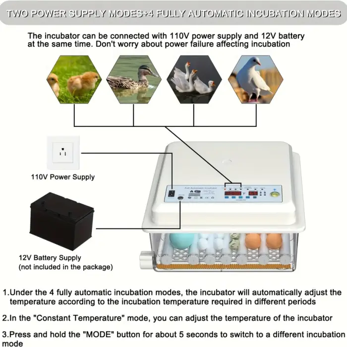 High Quality 120 Chicken Egg Incubator Commercial Small Size for Optimal Breeding — image 5