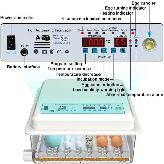 High Quality 120 Chicken Egg Incubator Commercial Small Size for Optimal Breeding — image 6