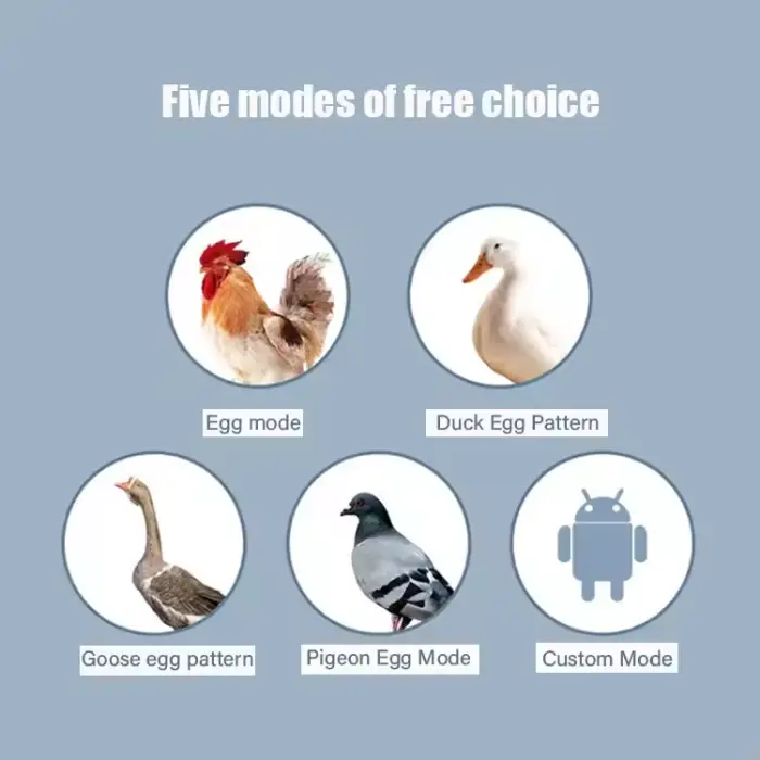 High Quality Fully Automatic Egg Hatching Machine Wholesale Incubators Temperature Control for Chicken Farming New Condition — image 5