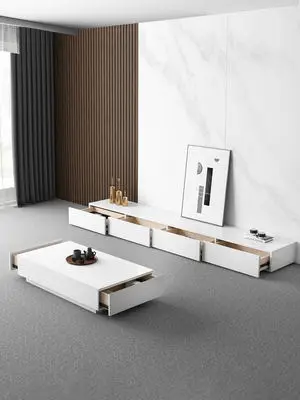 Bestselling Modern European TV Cabinet Coffee Table Combo Stylish Living Room Furniture with Storage for Home Use for Bedroom — image 4