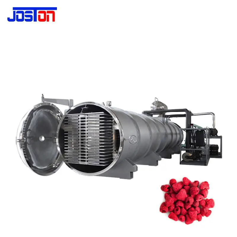 JOSTON Stainless Steel Dried Papaya Dried Mangosteen Dried Banana Dried Dragon Fruit Lyophilization Machine Freeze Dryer — view 1
