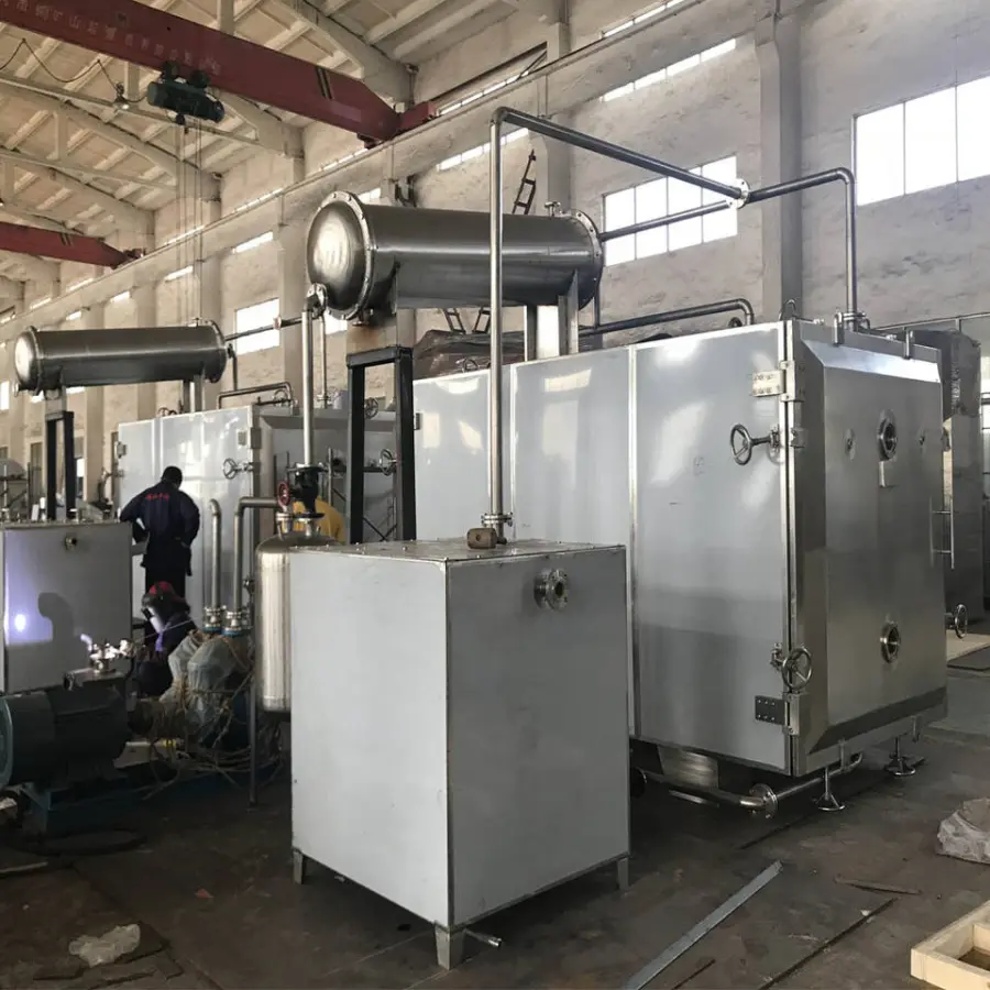 JOSTON Small Vacuum Dryer for Fruit and Vegetable Machine Vacuum Drying Equipment — image 3