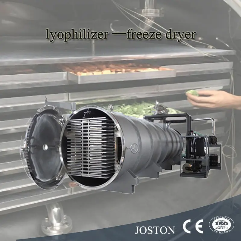 JOSTON New Industrial Freeze Drying Lyophilizer Machine Vacuum Freeze Dryer for Farm Food Processing for Fruit and Vegetables — image 3