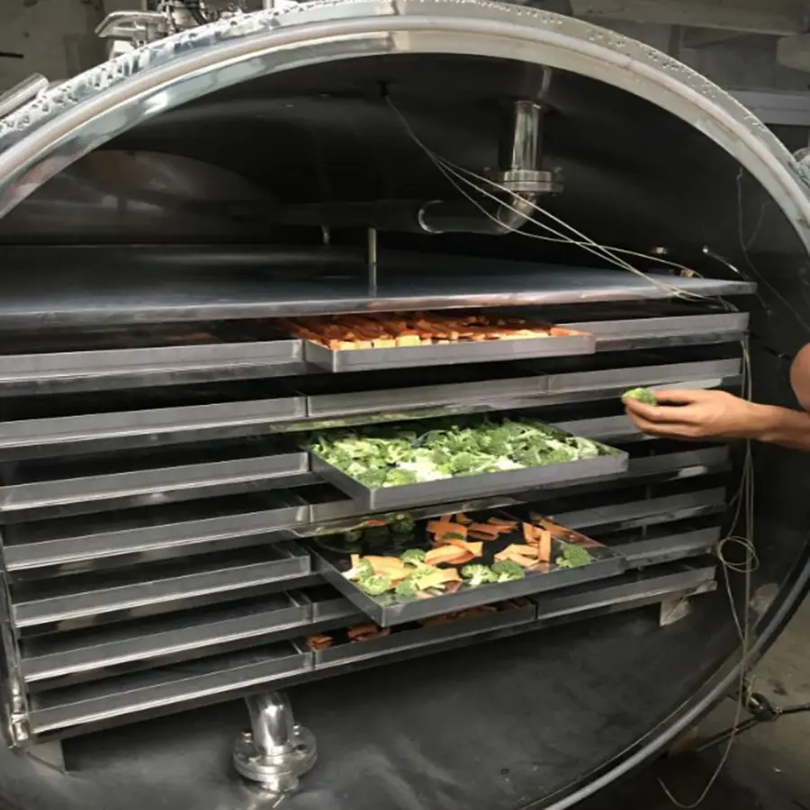 JOSTON New Industrial Freeze Drying Lyophilizer Machine Vacuum Freeze Dryer for Farm Food Processing for Fruit and Vegetables — image 6