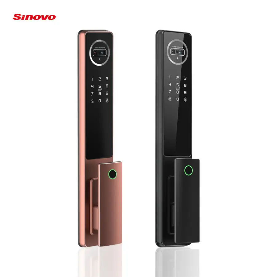 2024 Hot Sale Tuya Wifi Smart Door Lock 3D Face Fingerprint Recognition Digital Safe Door Camera for Wooden Cloud Memory Card — image 3