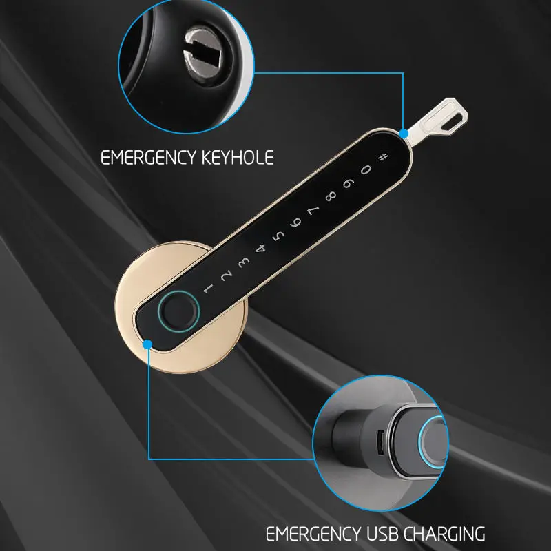 Smart Security Tuya Intelligent Zinc Alloy Fingerprint Electric Door Lock for Wood & Steel Doors Home Office Apartment — image 6