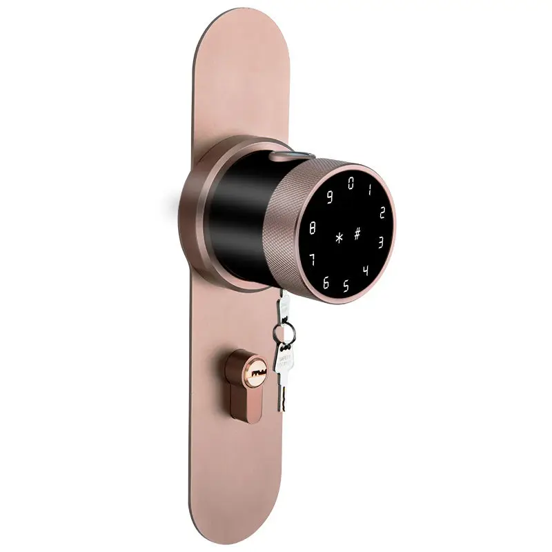 Sinovo Smart Cylinder Door Lock Biometric Fingerprint Electronics Keypad Card with Tuya App Home & Hotel Bar Design Smart Switch — image 7