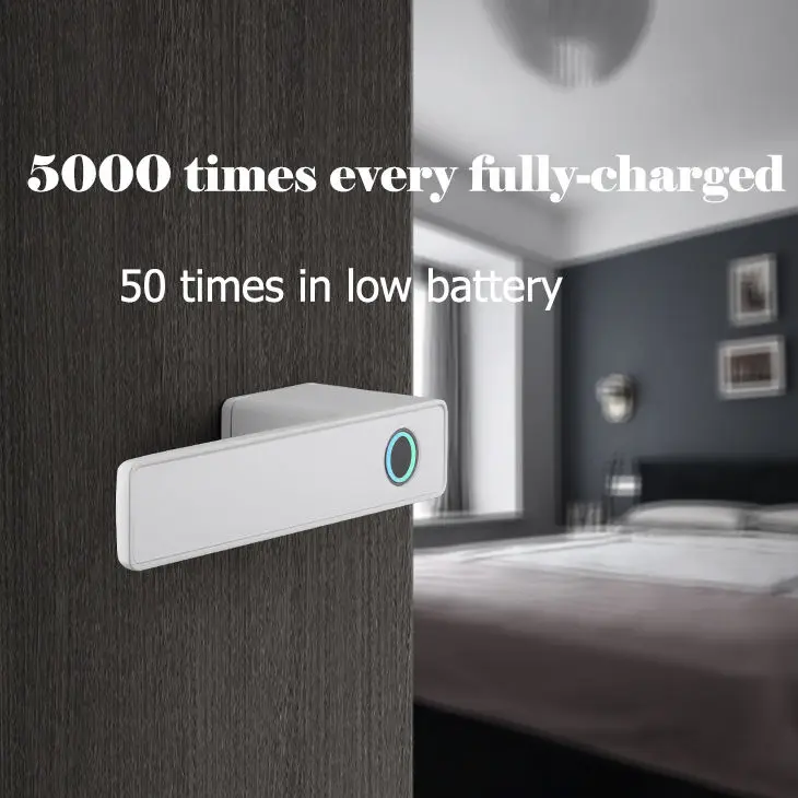 Simple Style American High-Quality Modern Zinc Alloy Tuya Smart Door Lock Level Fingerprint Handle Privacy Door Digital Locks — image 4