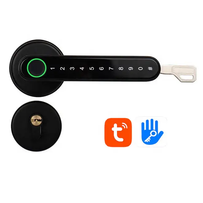 Topping H3 Indoor Smart Keyless Entry Fingerprint Door Lock 110 Fingerprint Capacity Tuya/TTLock APP 2-Year Warranty Zin — view 1