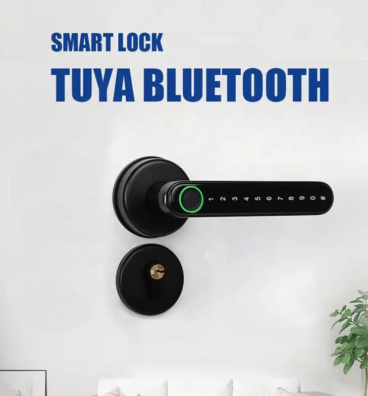 Topping H3 Indoor Smart Keyless Entry Fingerprint Door Lock 110 Fingerprint Capacity Tuya/TTLock APP 2-Year Warranty Zinc Alloy — image 3