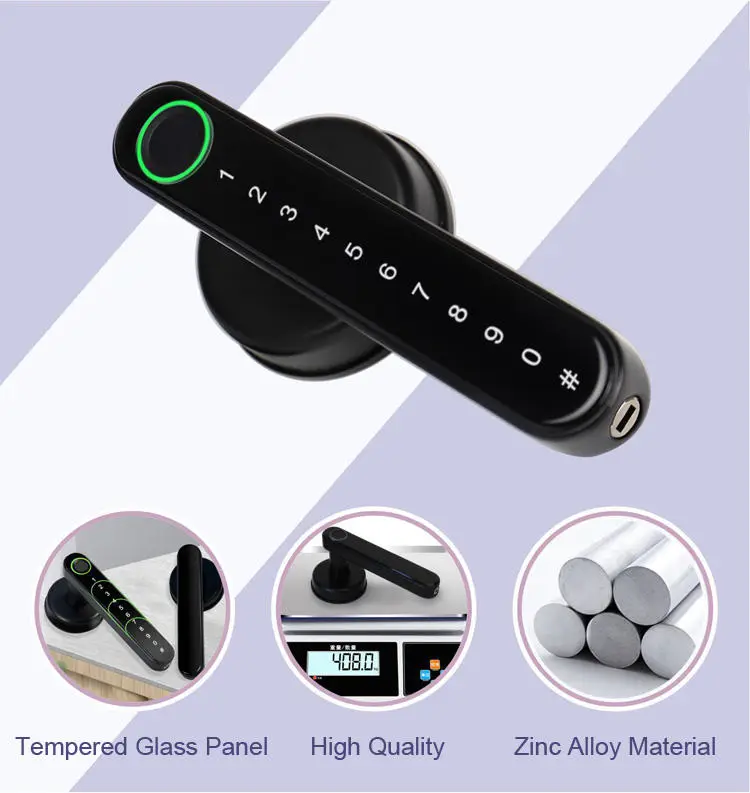 Topping H3 Indoor Smart Keyless Entry Fingerprint Door Lock 110 Fingerprint Capacity Tuya/TTLock APP 2-Year Warranty Zinc Alloy — image 4