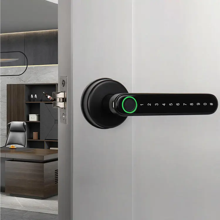 Topping H3 Indoor Smart Keyless Entry Fingerprint Door Lock 110 Fingerprint Capacity Tuya/TTLock APP 2-Year Warranty Zinc Alloy — image 5