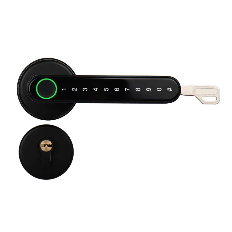 Topping H3 Indoor Smart Keyless Entry Fingerprint Door Lock 110 Fingerprint Capacity Tuya/TTLock APP 2-Year Warranty Zinc Alloy — image 7